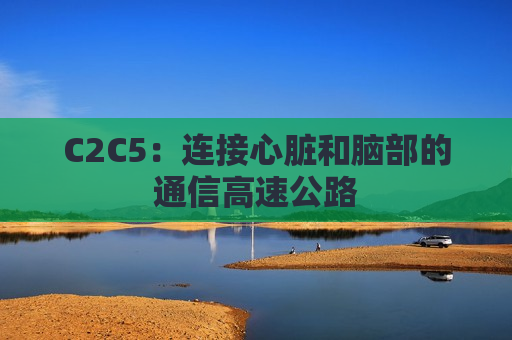 C2C5：连接心脏和脑部的通信高速公路