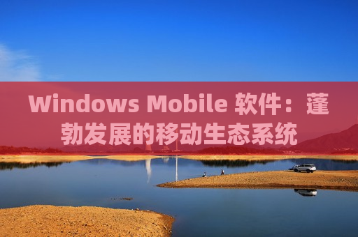 Windows Mobile 软件：蓬勃发展的移动生态系统