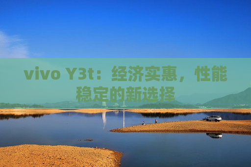 vivo Y3t：经济实惠，性能稳定的新选择