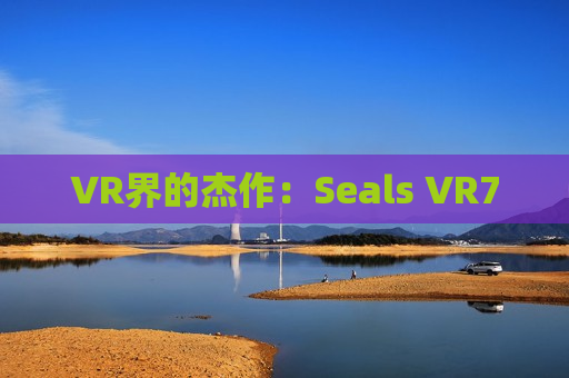 VR界的杰作：Seals VR7