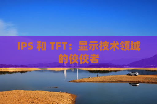 IPS 和 TFT：显示技术领域的佼佼者