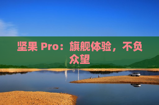 坚果 Pro：旗舰体验，不负众望