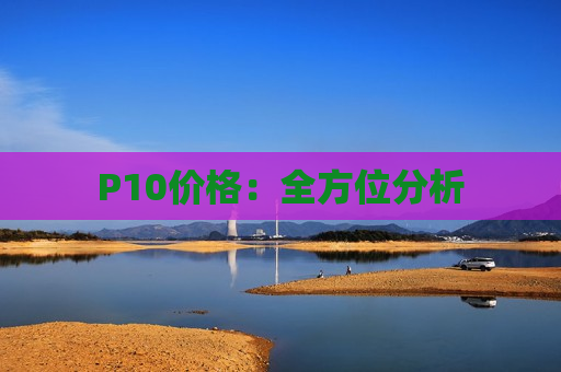 P10价格：全方位分析