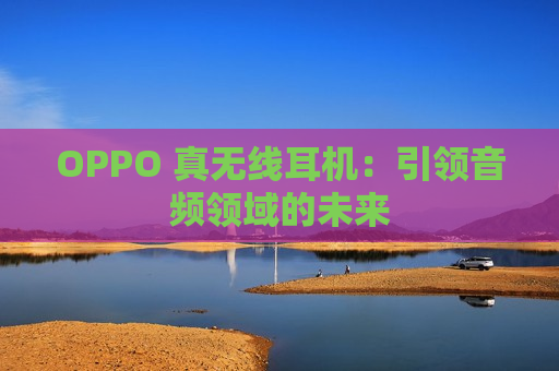 OPPO 真无线耳机：引领音频领域的未来