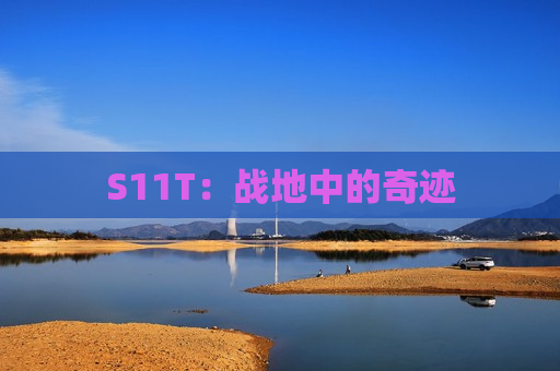 S11T：战地中的奇迹