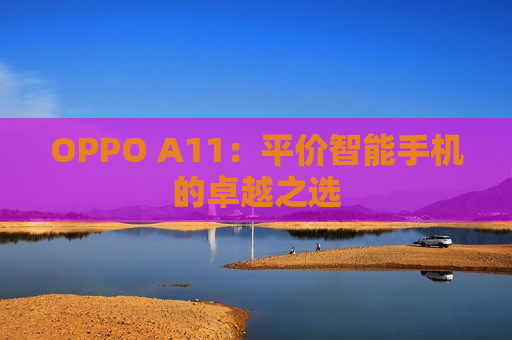 OPPO A11：平价智能手机的卓越之选