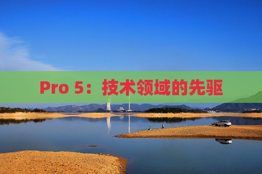 Pro 5：技术领域的先驱