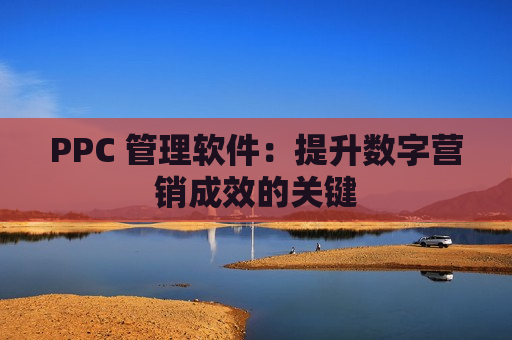 PPC 管理软件：提升数字营销成效的关键