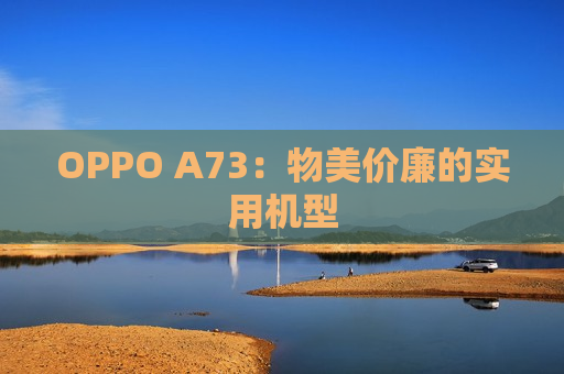 OPPO A73：物美价廉的实用机型