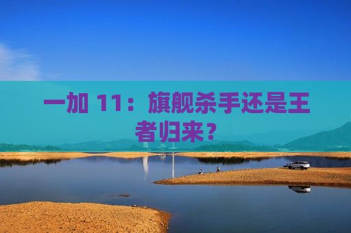 一加 11：旗舰杀手还是王者归来？