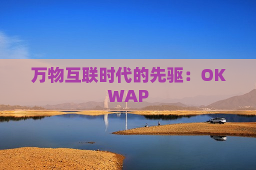 万物互联时代的先驱：OKWAP