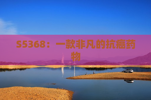 S5368：一款非凡的抗癌药物